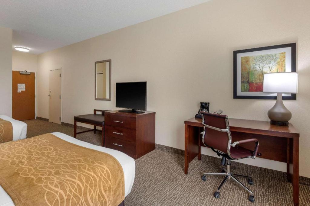 Comfort Inn & Suites Camden Exterior foto